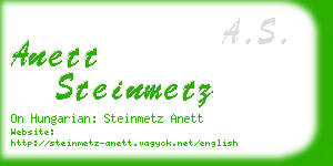 anett steinmetz business card